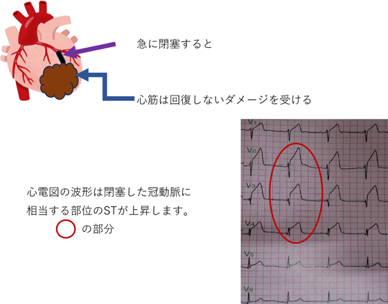 [図]