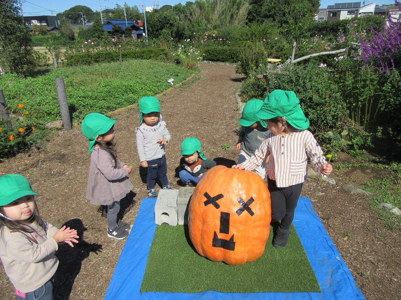 ハロウィン[写真]