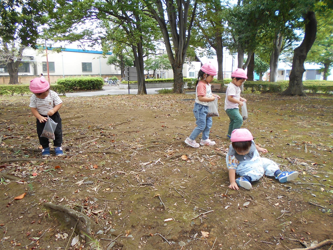 ハロウィン[写真]
