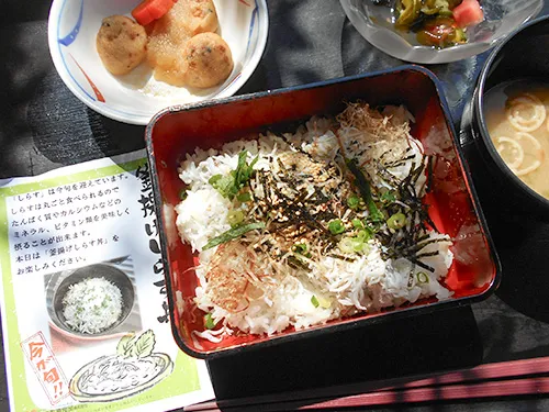 【特別メニュー夏】釜揚げしらす丼[写真]